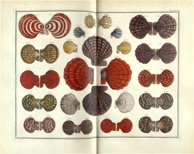 n456_w1150