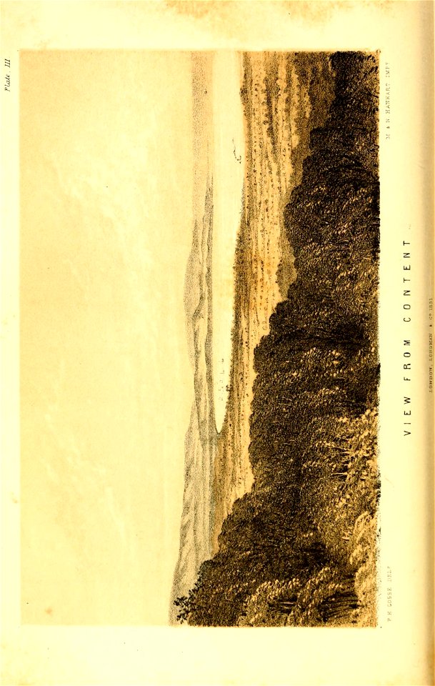 n125_w1150