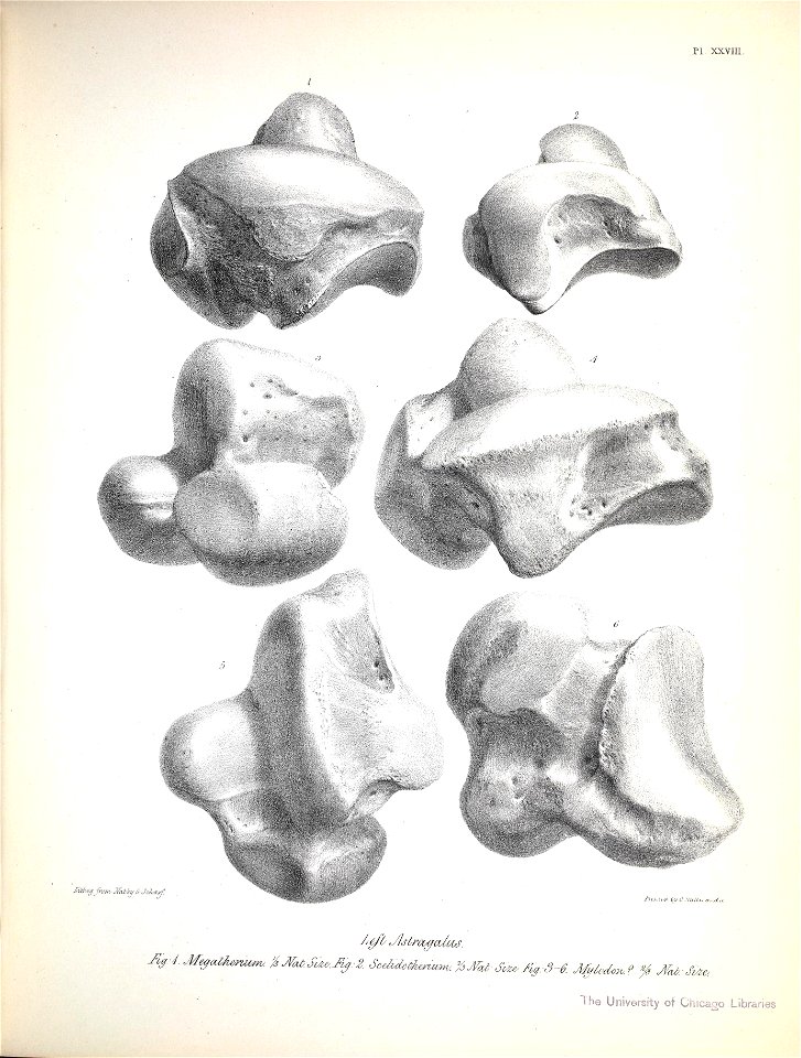 n236_w1150