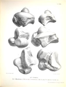 n236_w1150