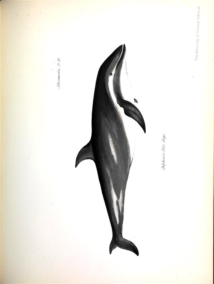 n408_w1150