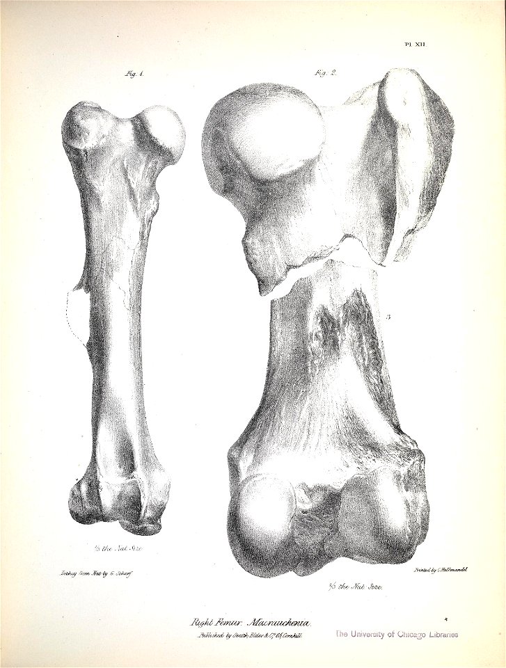 n172_w1150