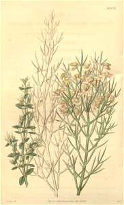 n57_w1150