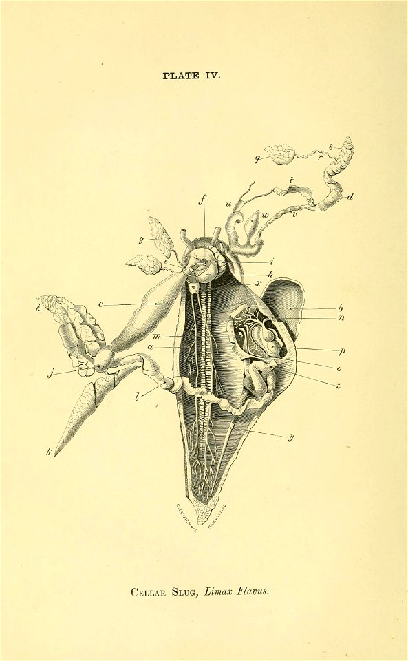 n367_w1150
