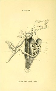 n367_w1150