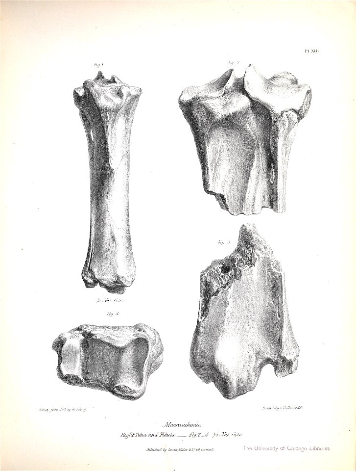 n176_w1150