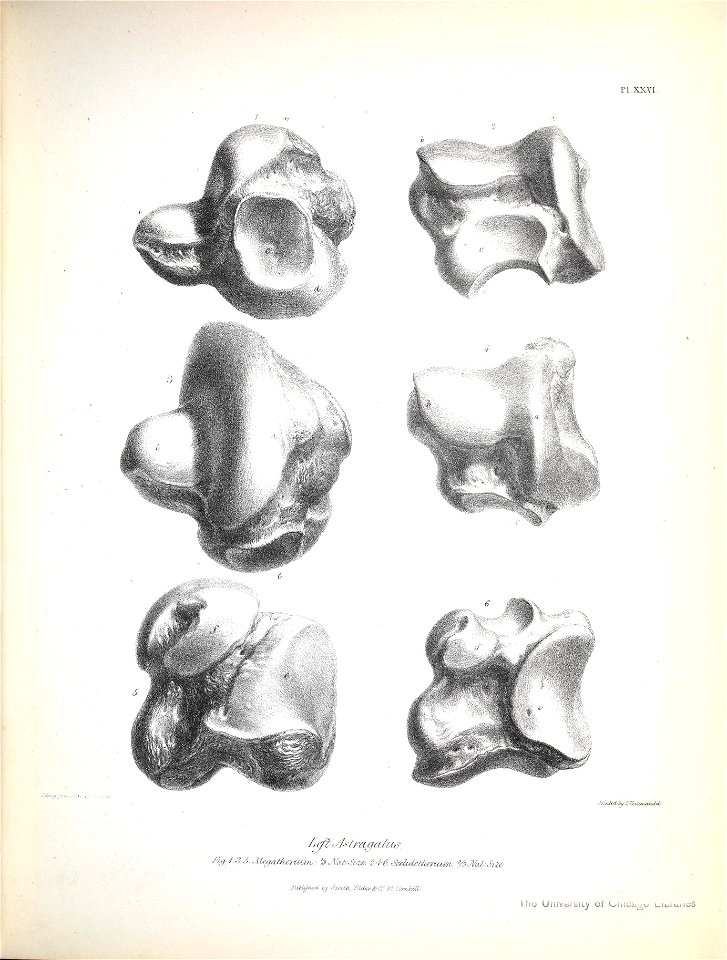 n228_w1150
