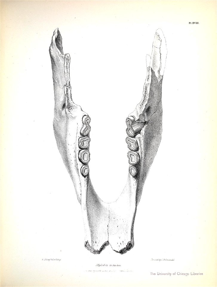 n196_w1150