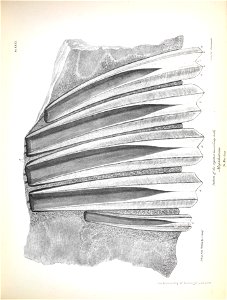 n248_w1150