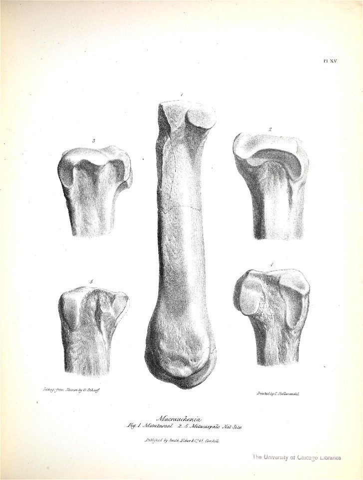 n184_w1150
