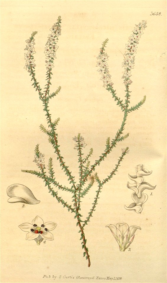 n103_w1150