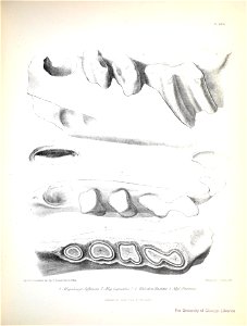 n192_w1150