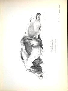 n132_w1150