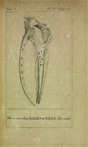 n256_w1150