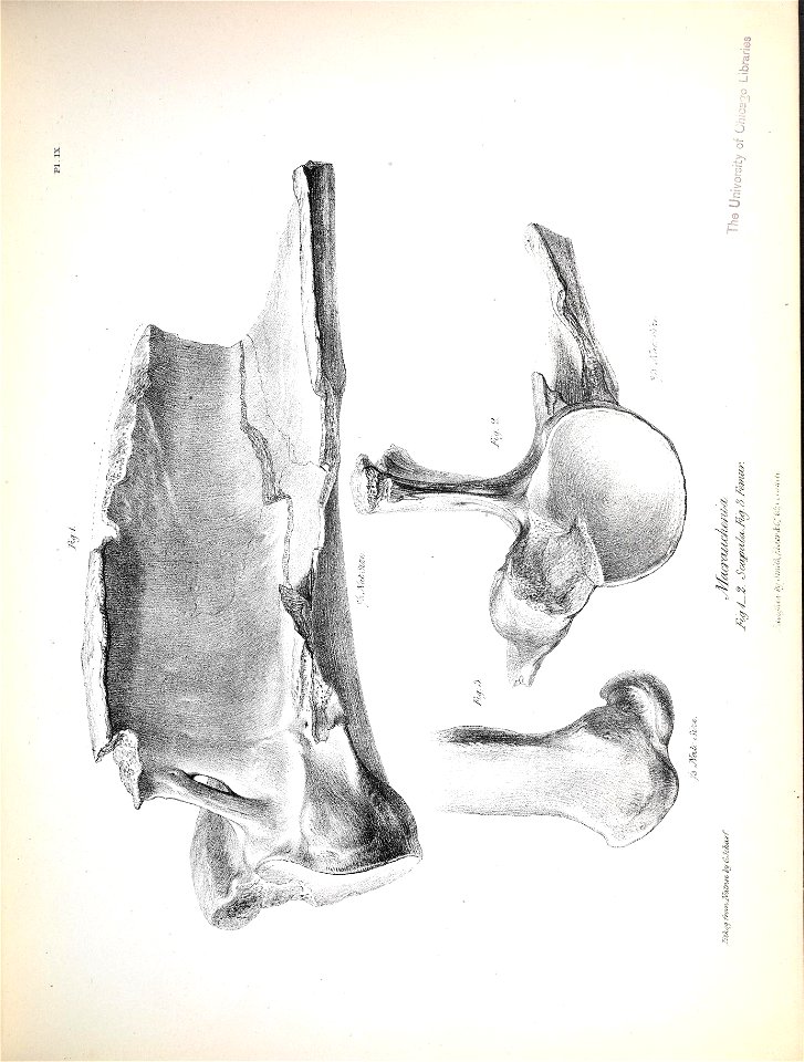 n160_w1150