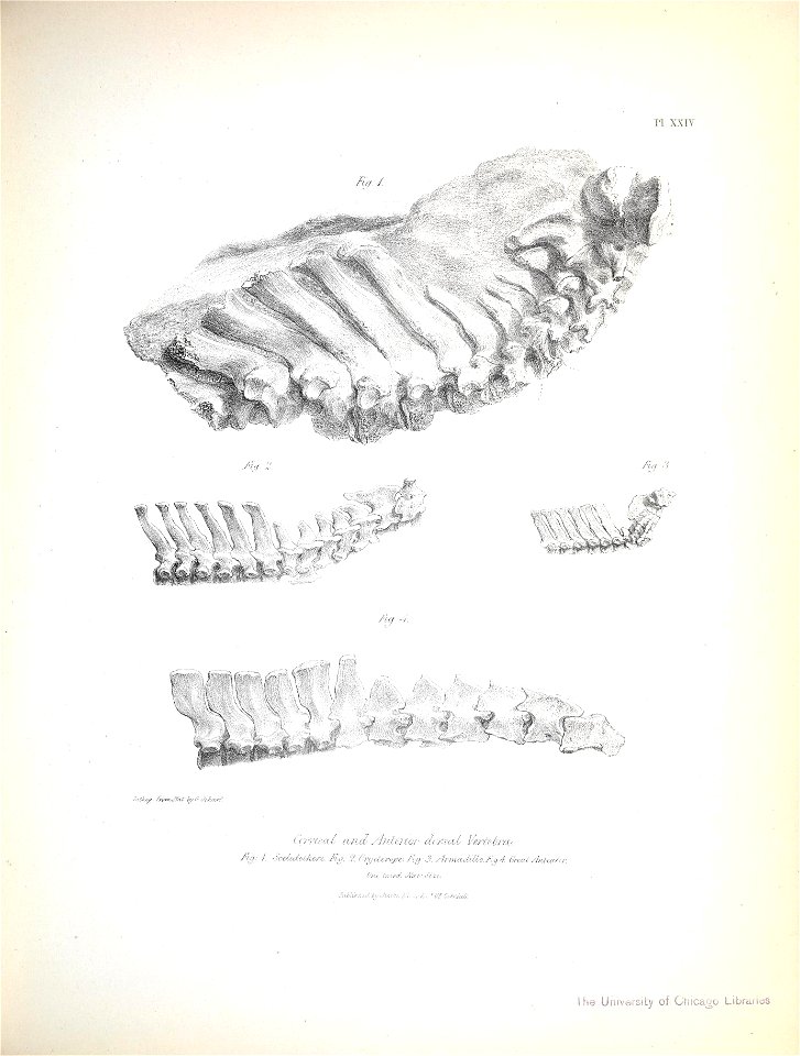 n220_w1150