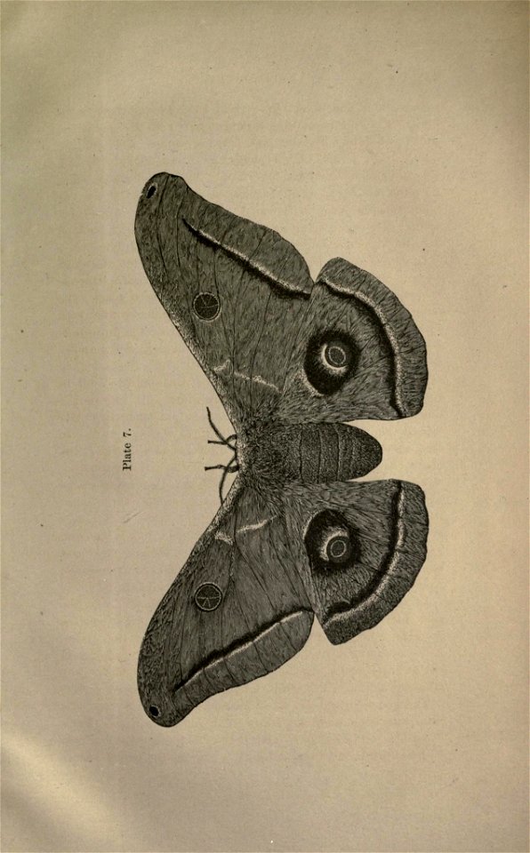 n338_w1150