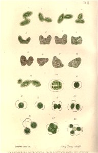 n357_w1150