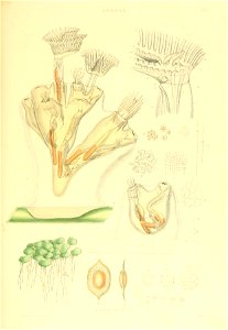 n142_w1150