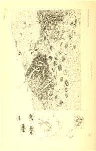 n39_w1150