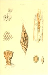 n146_w1150