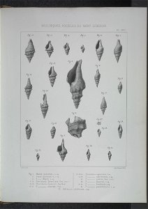n218_w1150