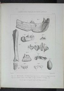 n188_w1150