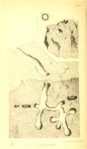n59_w1150