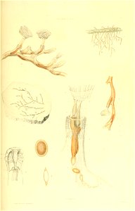 n154_w1150
