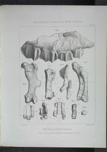 n192_w1150