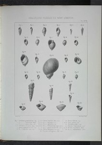 n220_w1150