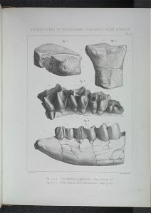n190_w1150