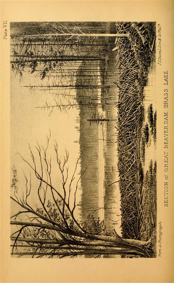 n109_w1150