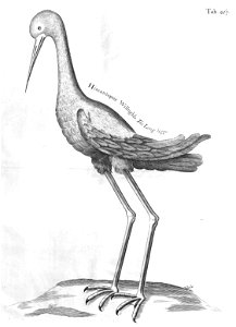 n630_w1150