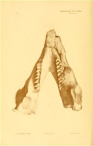 n35_w1150