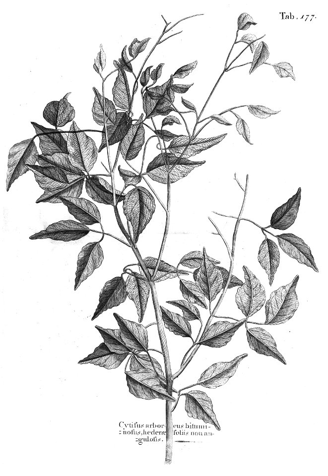 n540_w1150