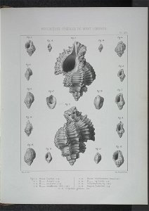 n216_w1150