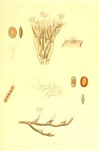 n162_w1150