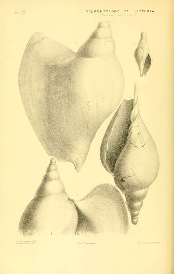 n51_w1150