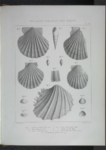 n224_w1150