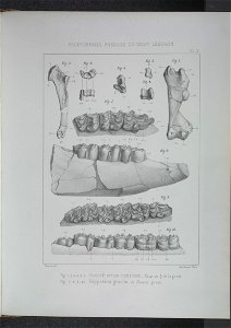 n194_w1150