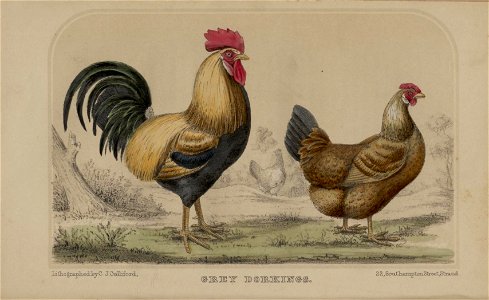 n124_w1150