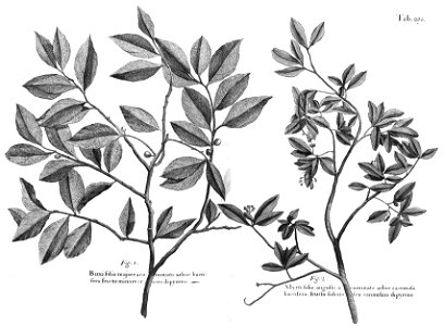 n572_w1150
