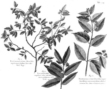 n557_w1150