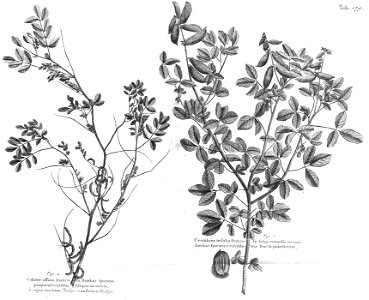 n542_w1150