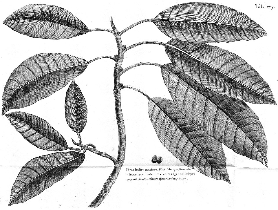 n586_w1150