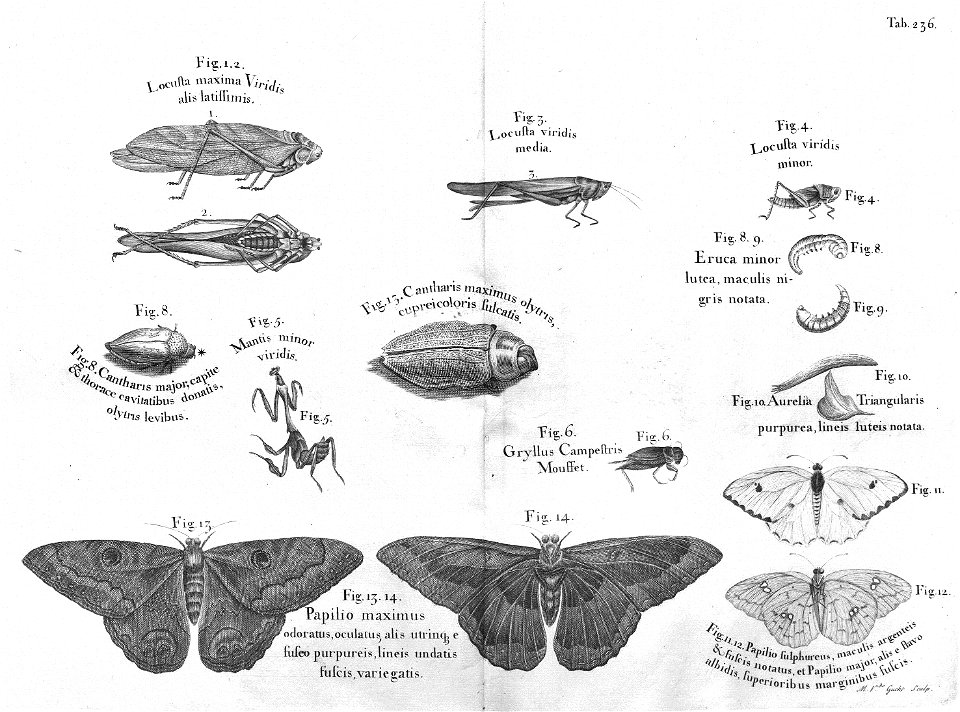 n599_w1150