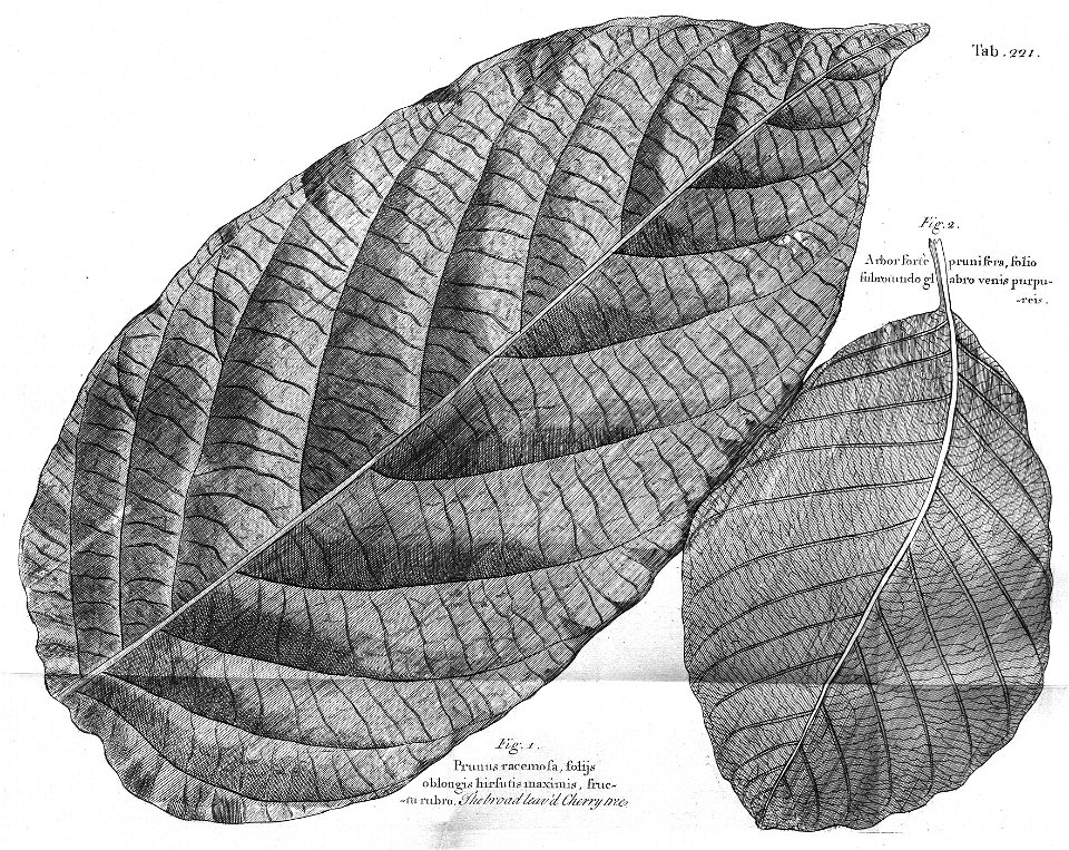 n584_w1150