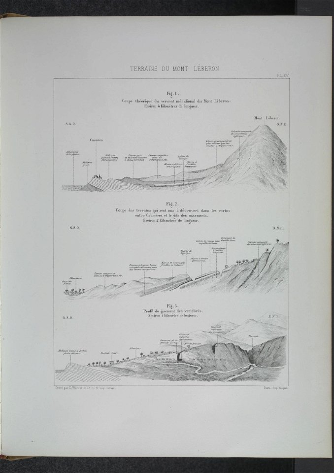 n214_w1150