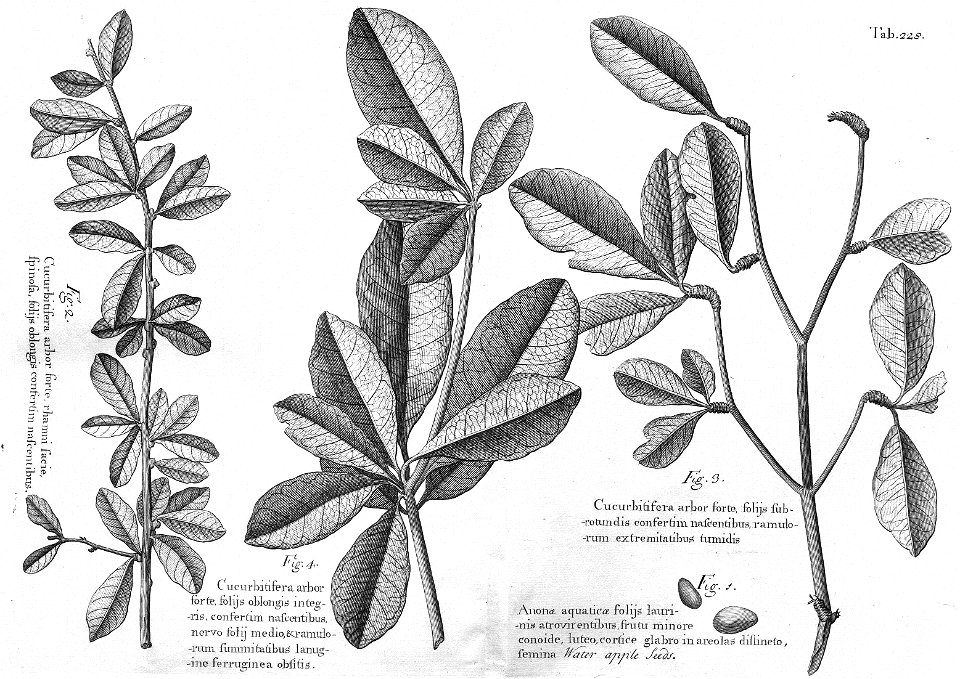 n591_w1150